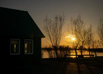 Zwaan